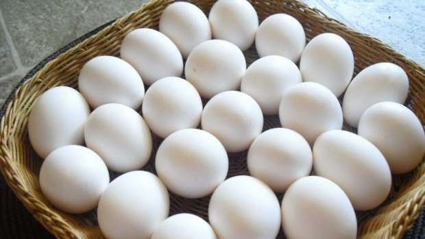 كم سعر طبق البيض اليوم
