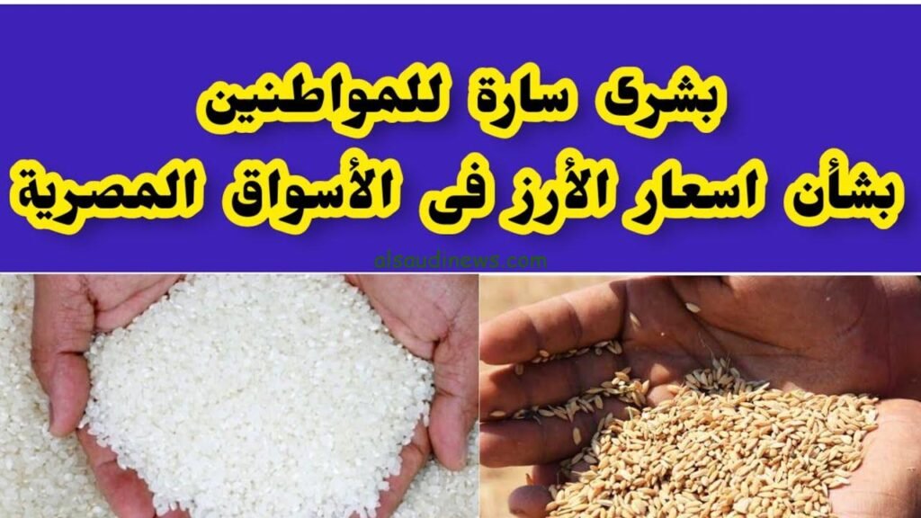 أسعار الأرز الشعير اليوم العريض